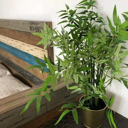 L'authentique Appartement